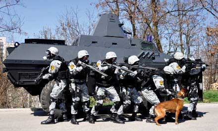 Специальное подразделение полиции Боснии и Герцеговины «Босна»
